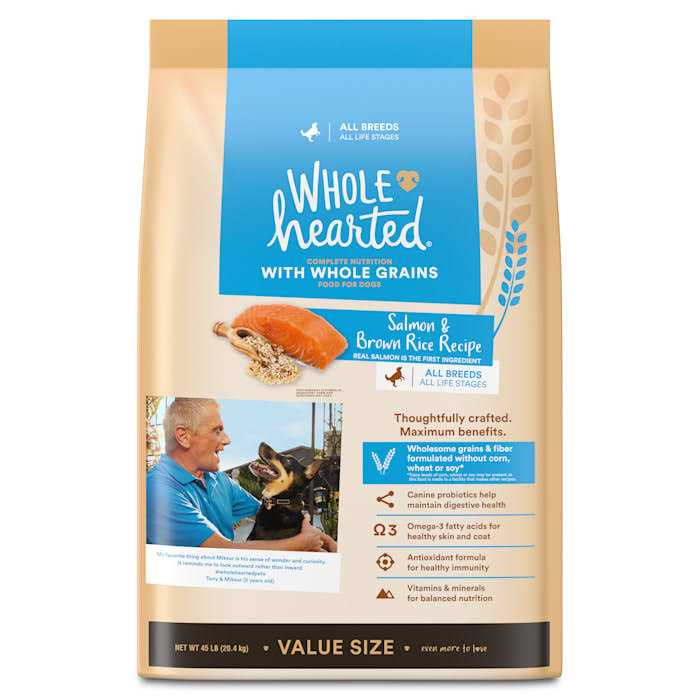 WholeHearted Whole Grains Salmon Recipe Dry Dog Food - Healthber