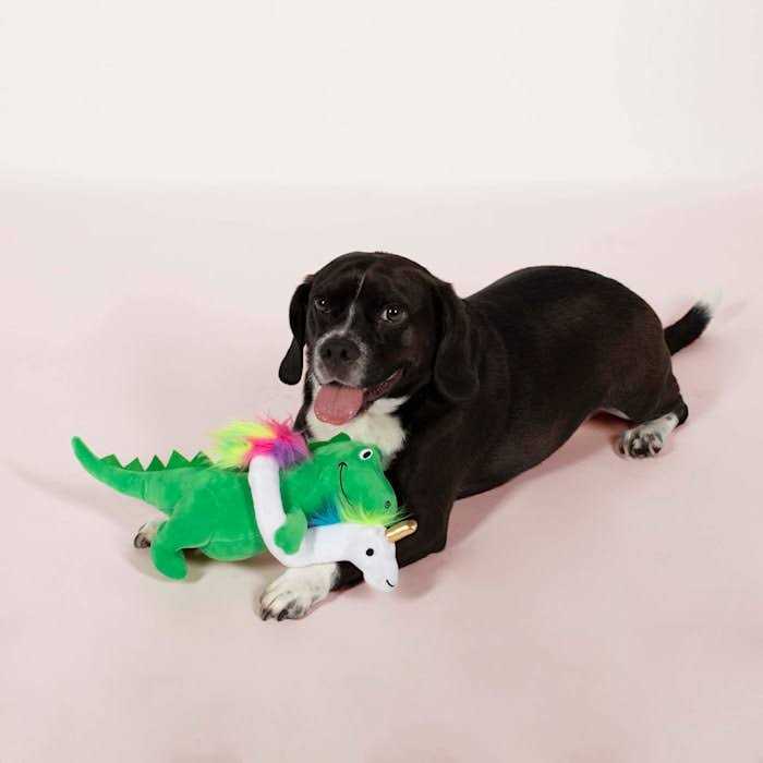 Fringe Studio Summa Time Rex-Plush Dog Toy - Healthber