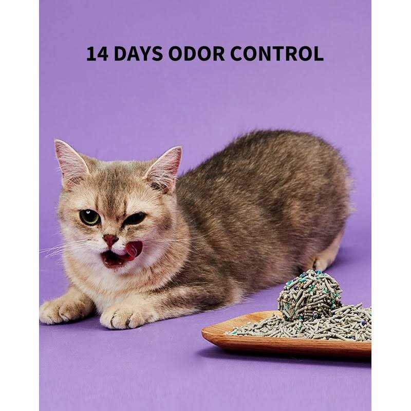 PETKIT everclean 5 in 1 Mixed Cat Litter,Strong Clumping Cat Litters,Odor Control and Unscented Ultra Absorbent Water flushab - Healthber