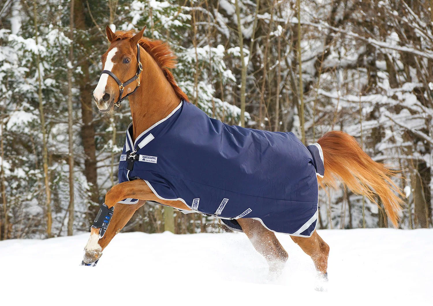 Rambo Original Turnout Blanket with Leg Arches, 200 Gram, Navy/Silver - Healthber