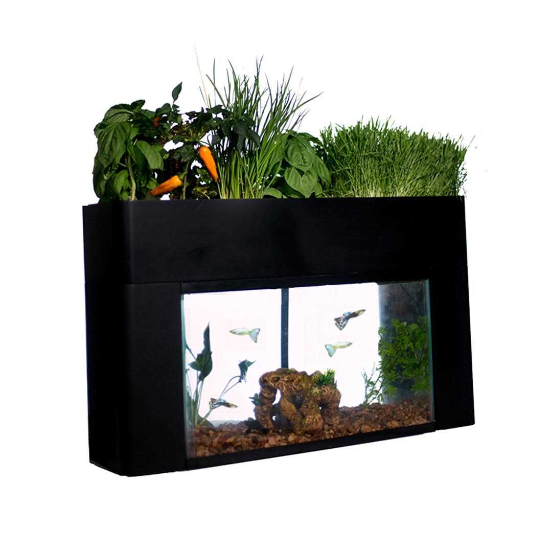 AquaSprouts Garden kit - Healthber