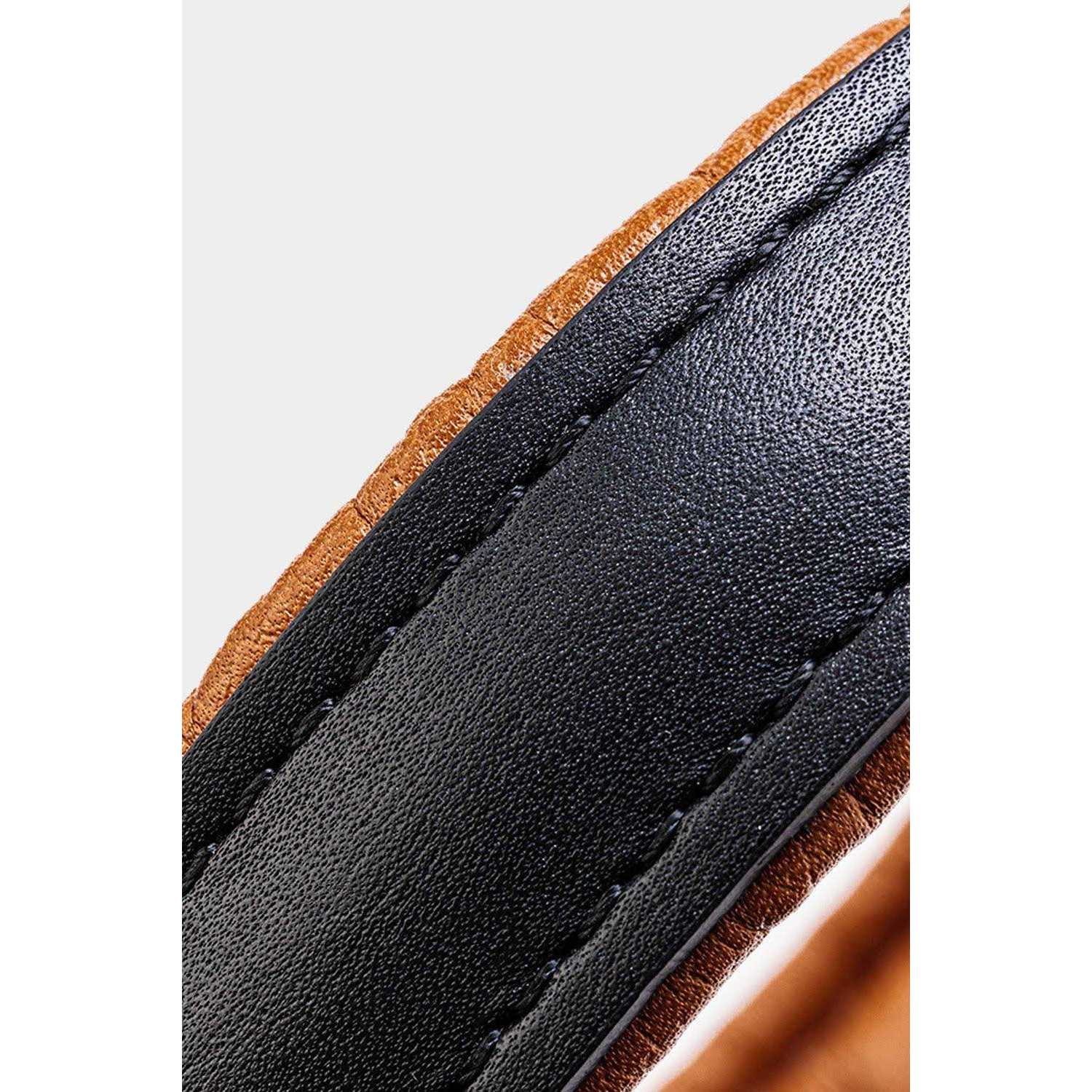 HUGO & HUDSON Padded Leather Dog Collar - Healthber