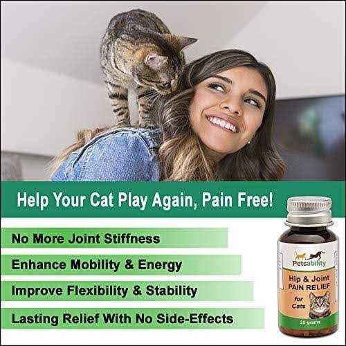 BestLife4Pets Cat Hip and Joint Pain Relief - Healthber