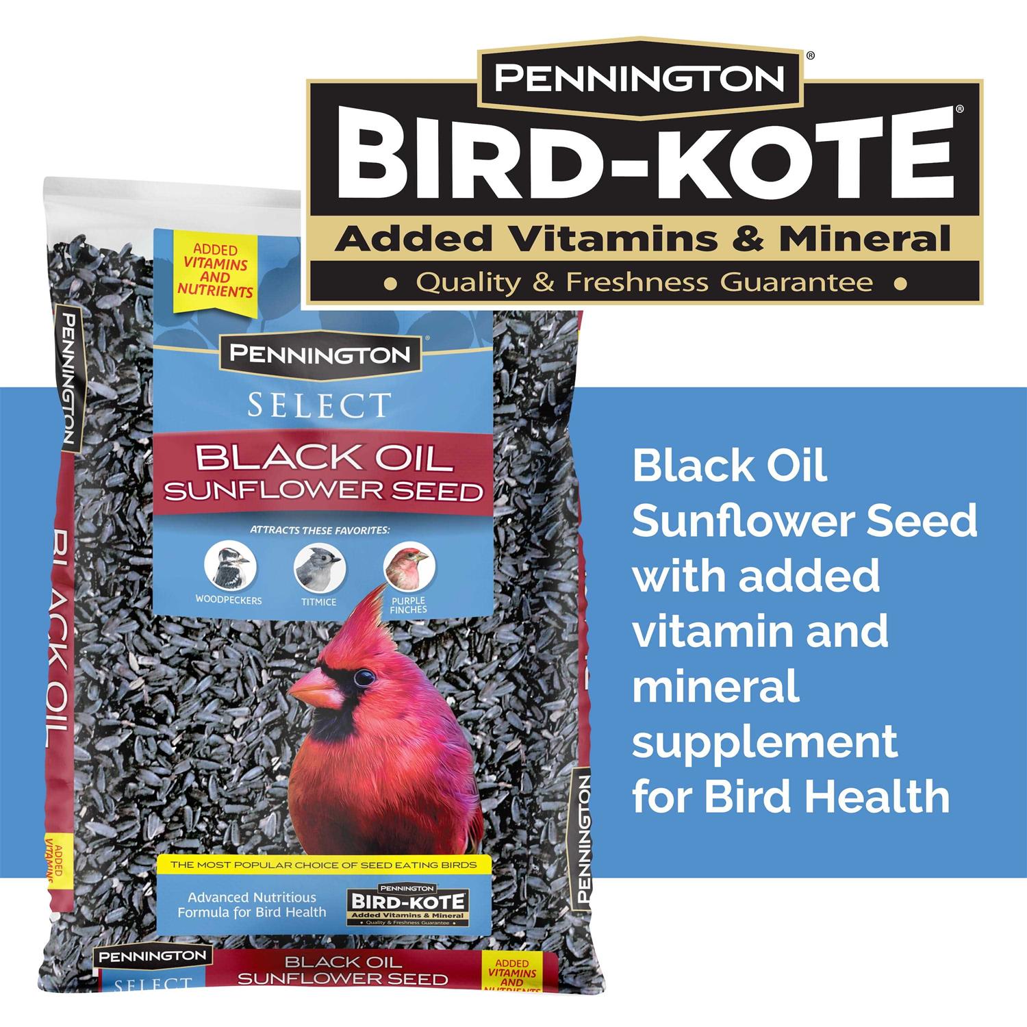 Pennington Select Black Oil Sunflower Seed Wild Bird Feed - Healthber