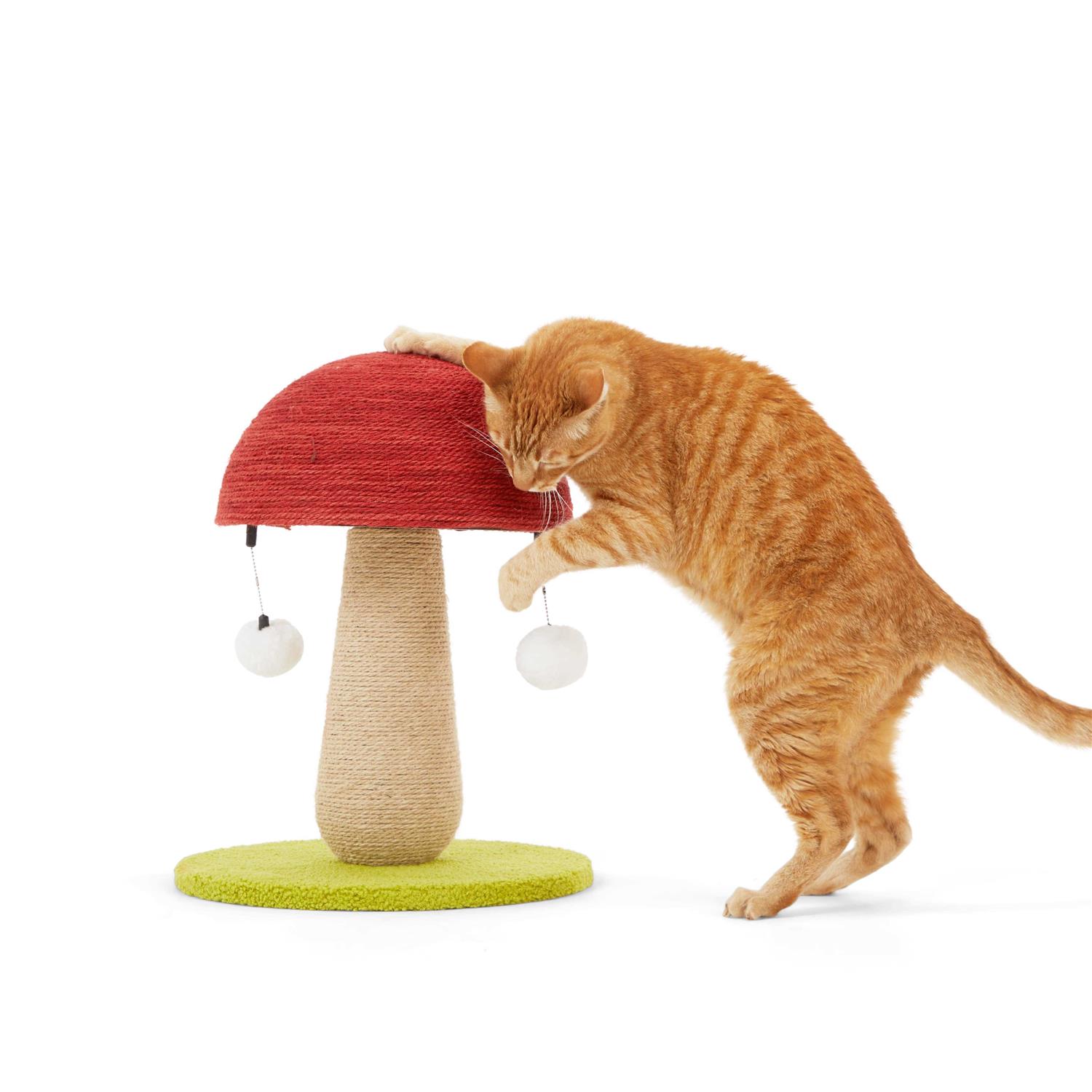 EveryYay Toadstool Scratch Post for Cats - Healthber