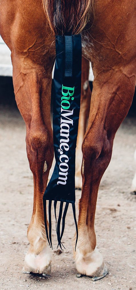 BioMane Tail Bag - Healthber
