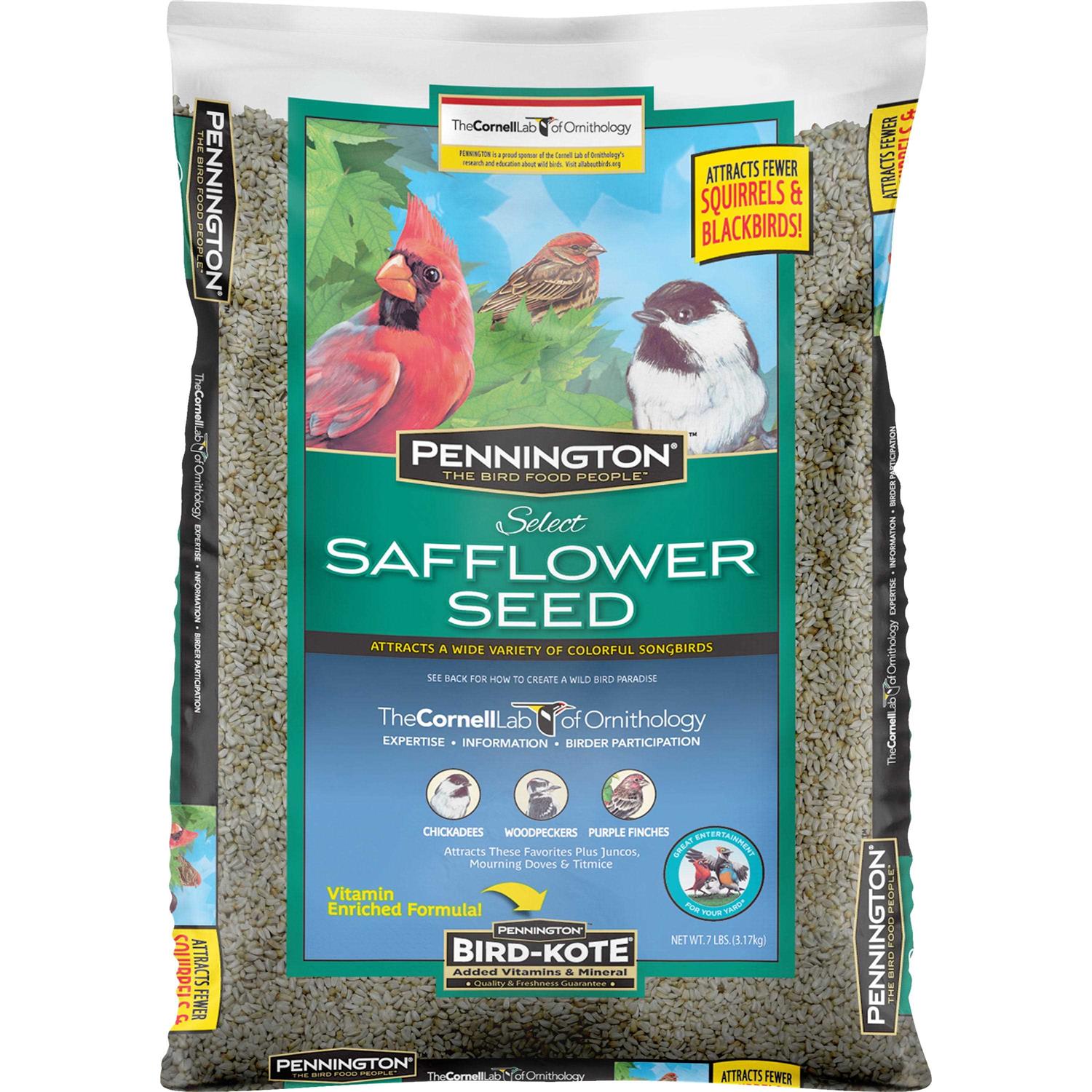 Pennington Select Safflower Seed Wild Bird Feed & Seed - Healthber