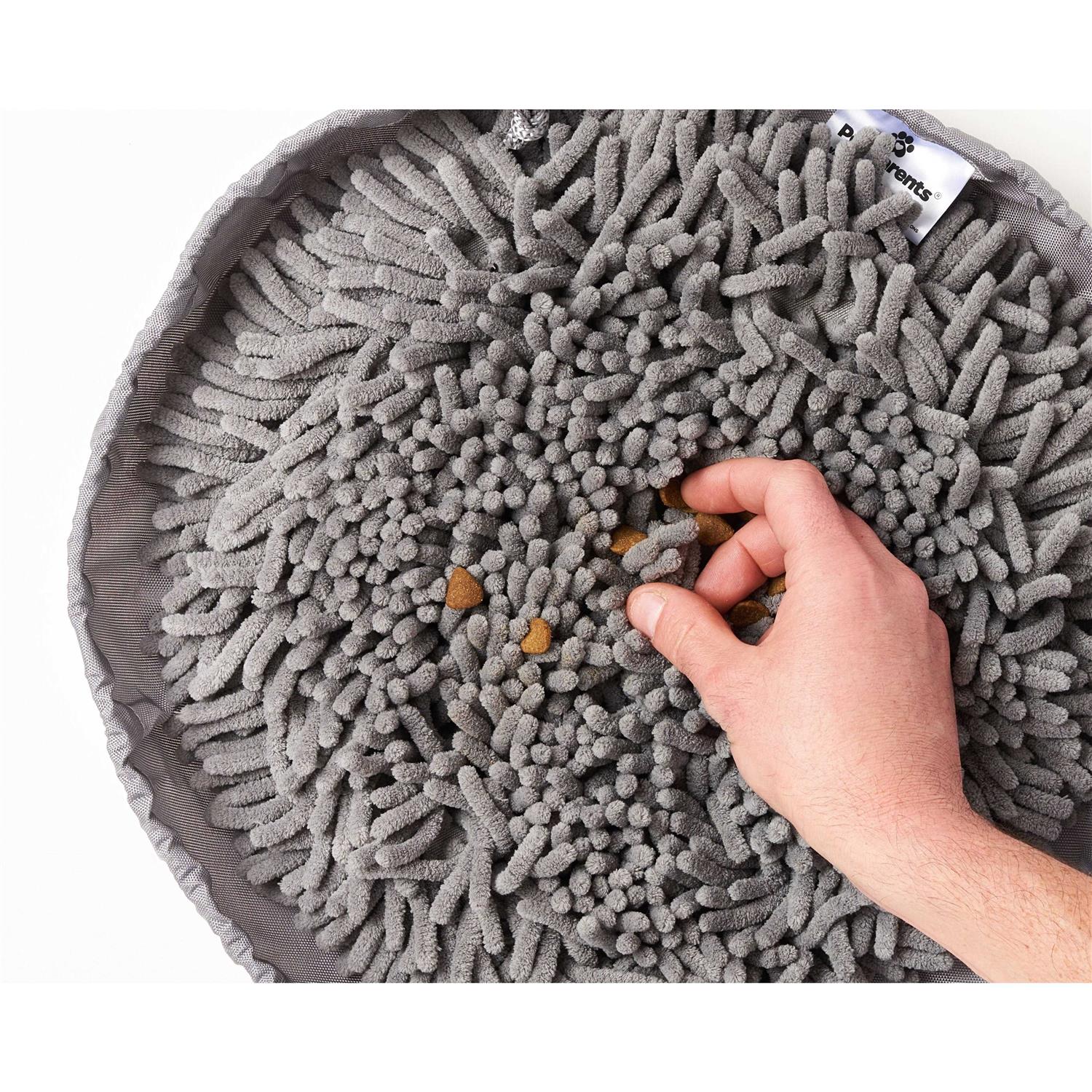 Pet Parents Forager Snuffle Mat & Slow Feeder Dog Bowl - Healthber