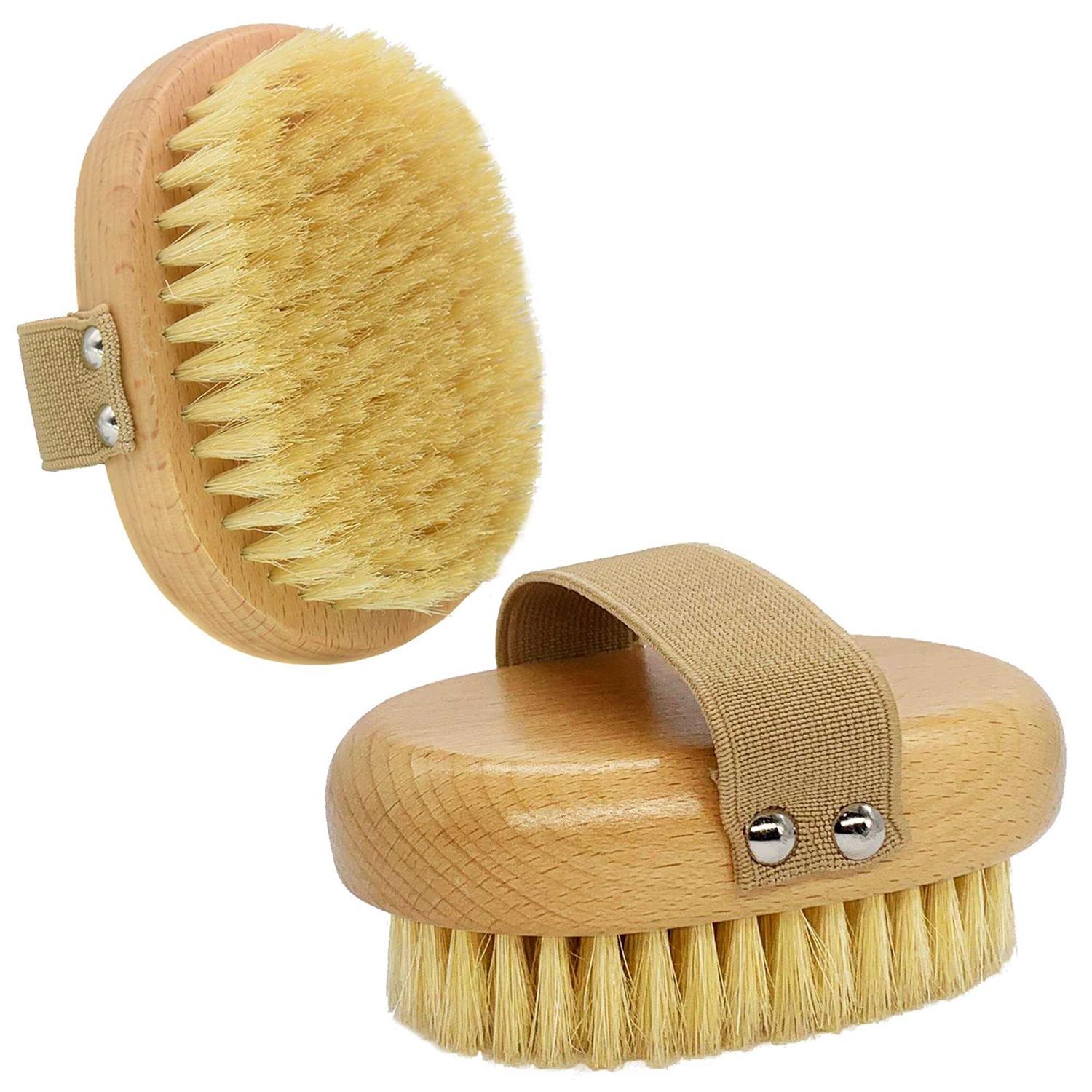 casidoxi soft bristle dog brush for short haired cats dogs with elastic band - Healthber