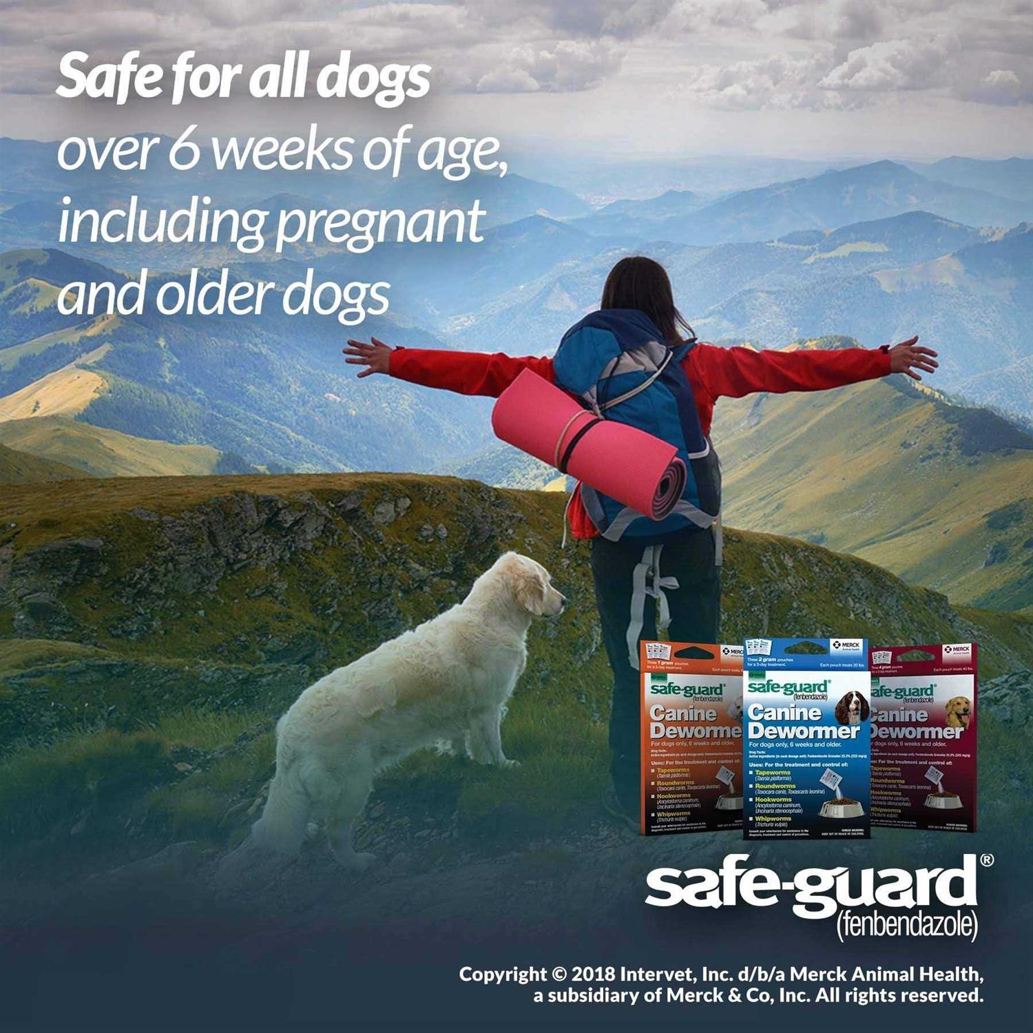 Safe-Guard Canine Dewormer - Healthber