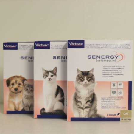 Senergy Topical for Cats 5.1 15 lbs - Healthber