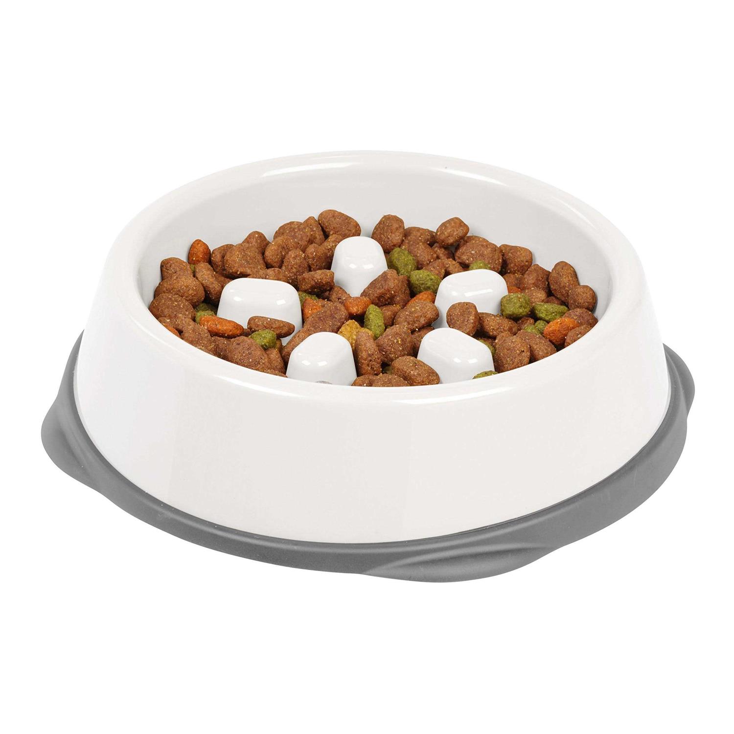 IRIS USA Slow Feeding Bowl for Short Snouted Pets - Healthber