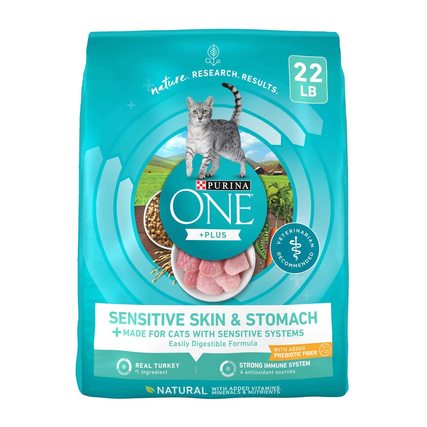 Purina ONE Plus Dry Cat Food Sensitive Skin & Stomach - Healthber