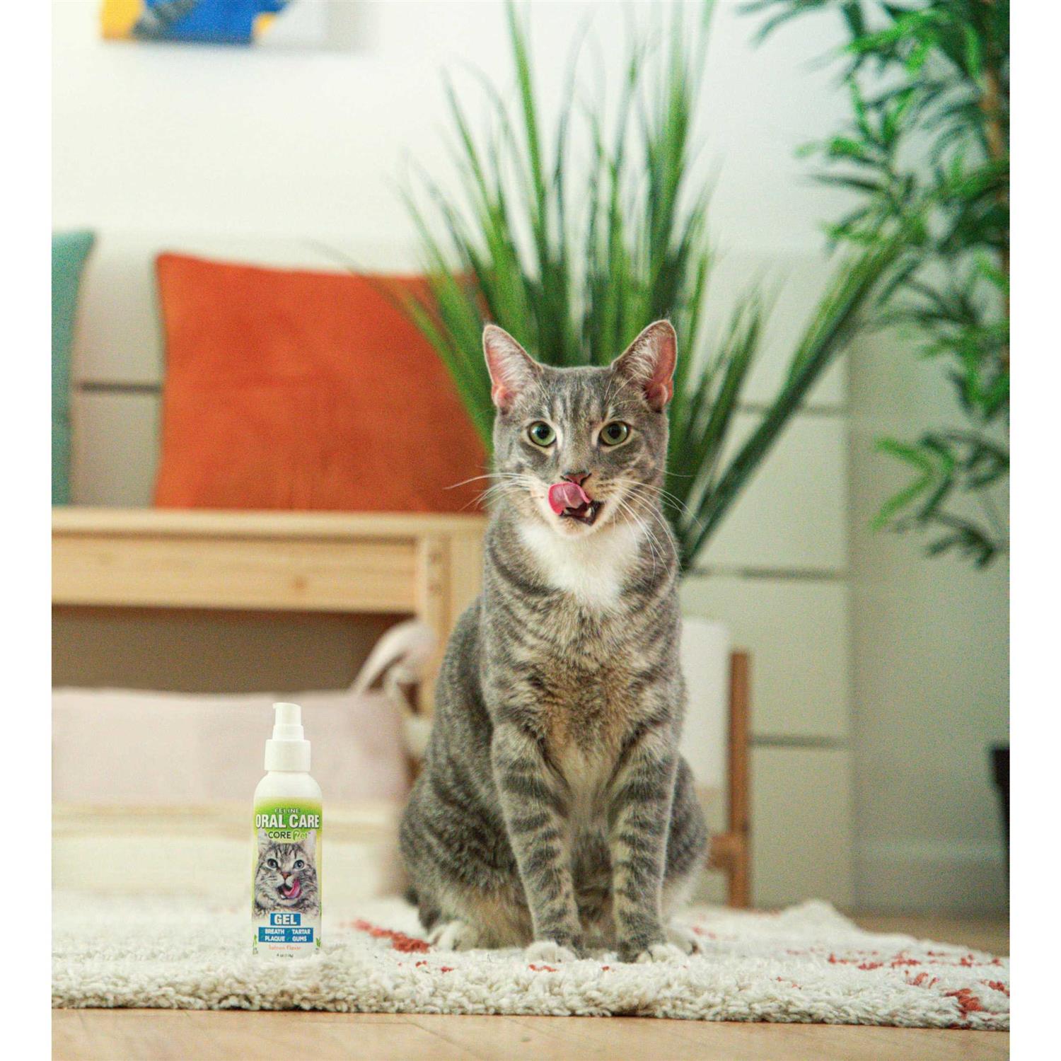 Core Pet Complete Oral Care Gel Salmon 4 oz - Healthber