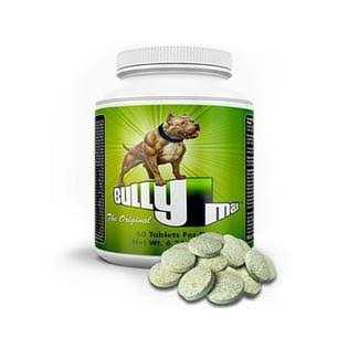 Bully Max The Ultimate Canine Supplement - Healthber