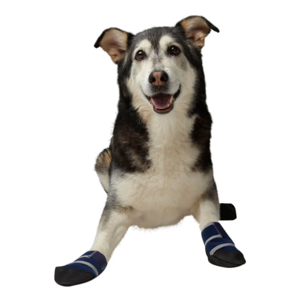 Healers Medical Dog Boots, Box Set of 2 boots & 2 Gauze Pads - Healthber