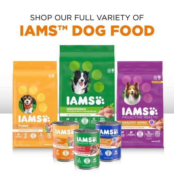 Iams Proactive Health Wet Dog Food Variety Pack - Healthber