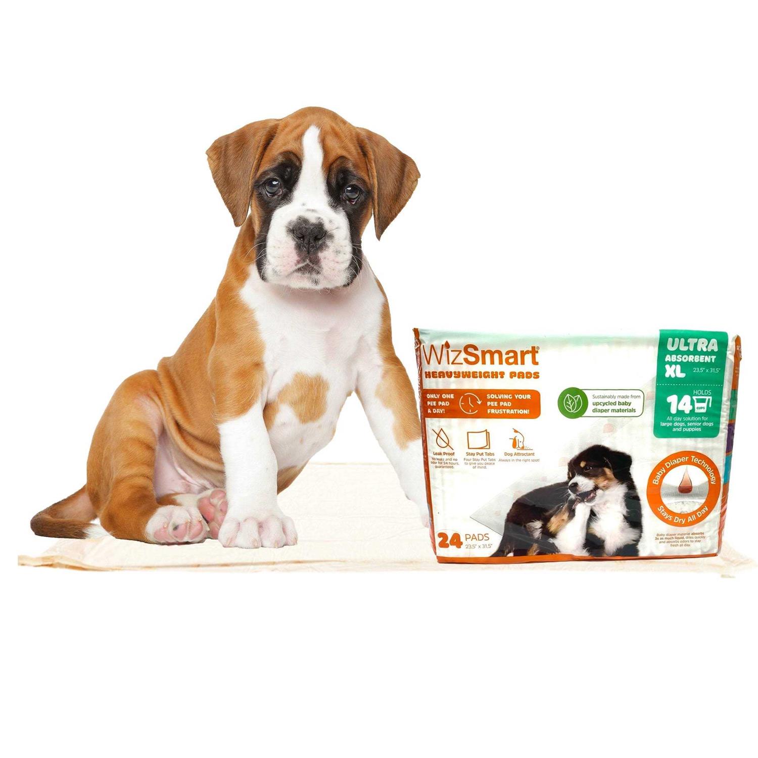 WizSmart All Day Dry Dog Pads - Healthber