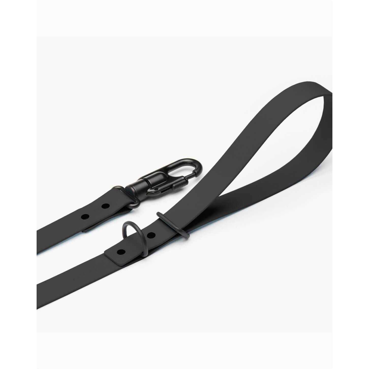 Fable Pets Signature Dog Leash - Healthber