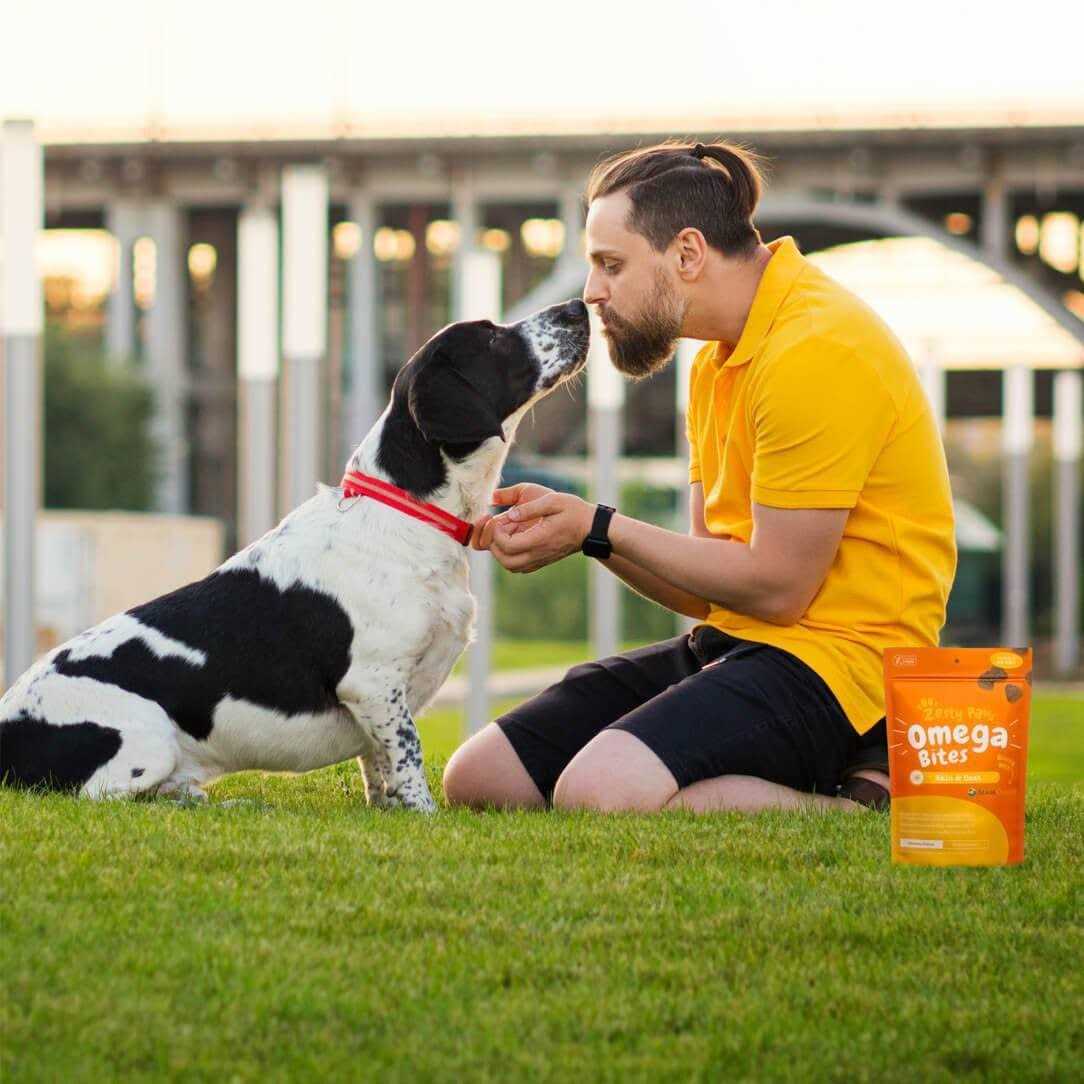 Zesty Paws Skin & Coat Omega Bites for Dog Chicken Flavor - Healthber