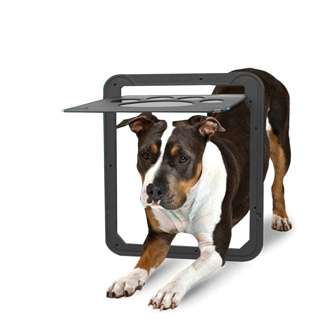 Ownpets Dog Screen Door Inside Door Flap 12x14x0.4 Inch Lockable Pet Screen Door - Healthber