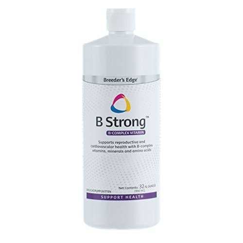 Edge B Strong - Healthber