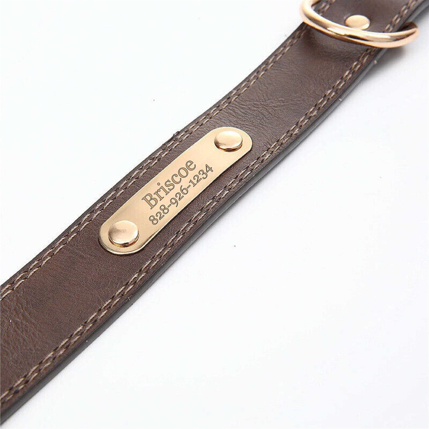 Express Pencils Personalized Dog Collar Engraved Soft Leather Custom Small - Healthber