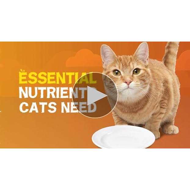 Purina Friskies Extra Gravy Pate Wet Cat Food Gravy - Healthber