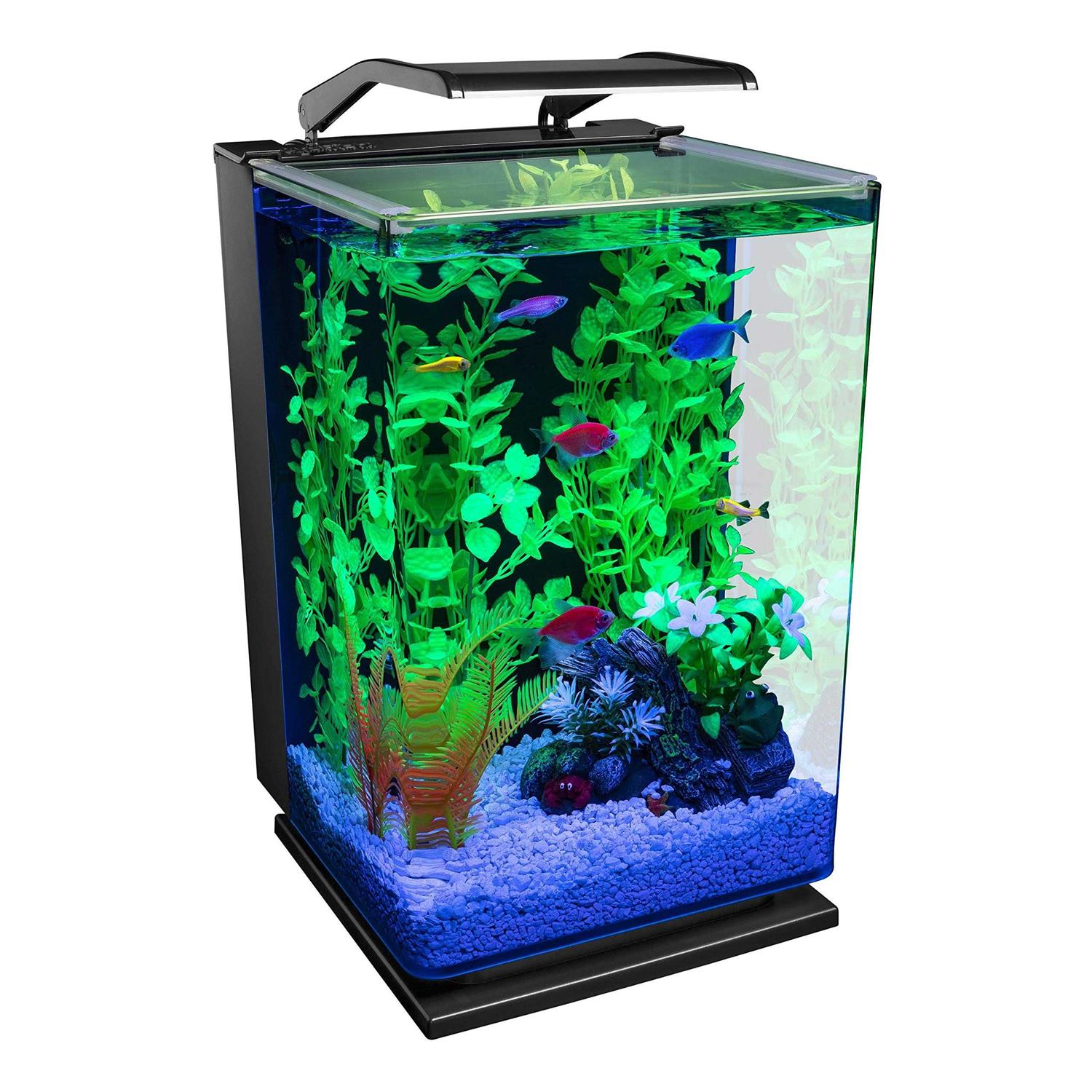 GloFish Aquarium Kit - Healthber