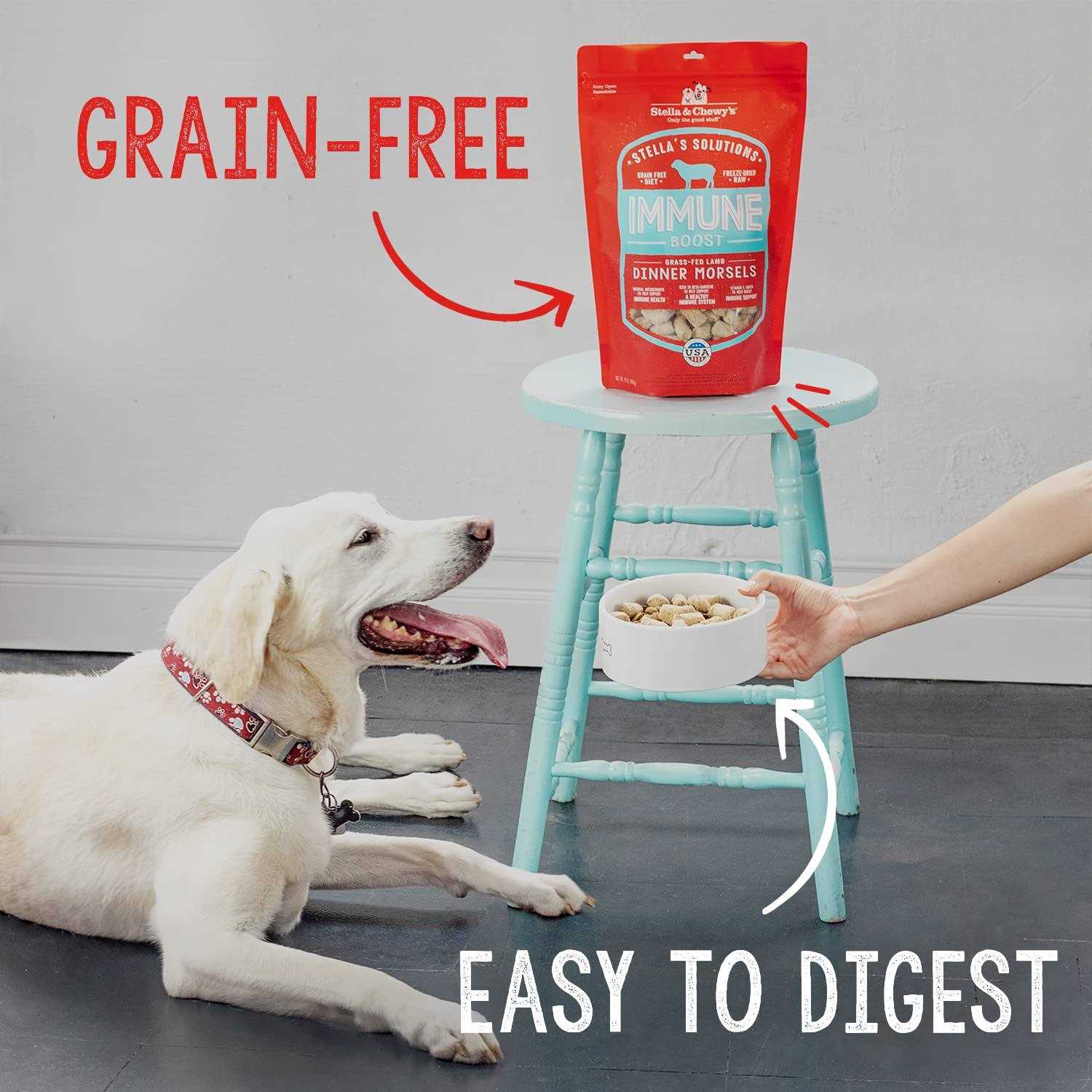 Stella & Chewy’s Dog Solutions Skin & Coat Boost Lamb & Salmon 13oz - Healthber
