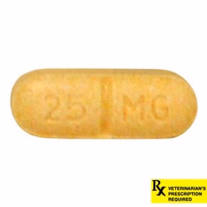 Rx Rimadyl (carprofen) Caplets for Dogs - Healthber