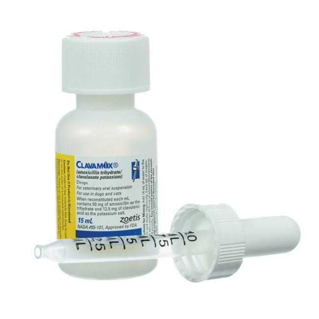 Clavamox Drops - Healthber