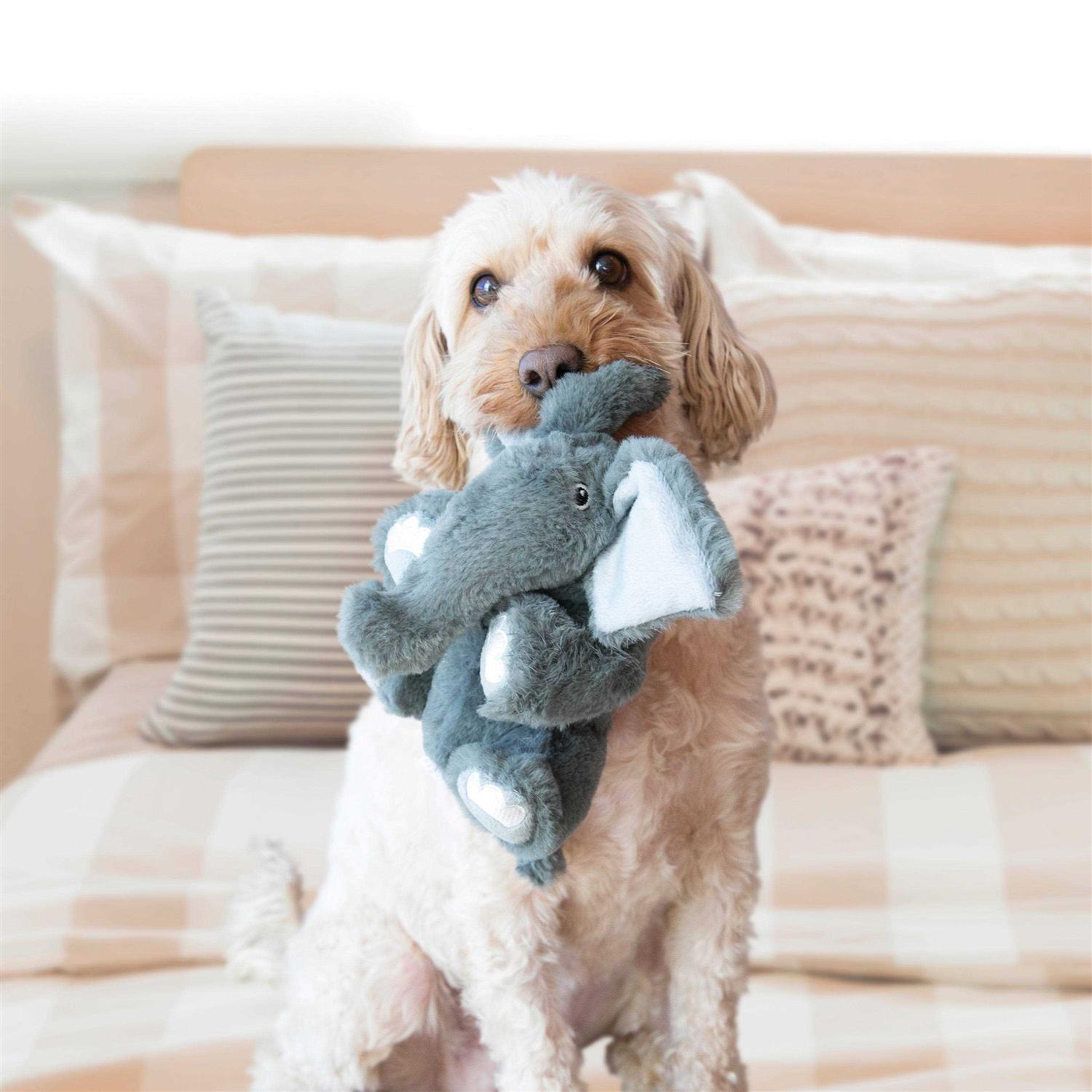 KONG Comfort Kiddos Lion Dog Toy - Healthber