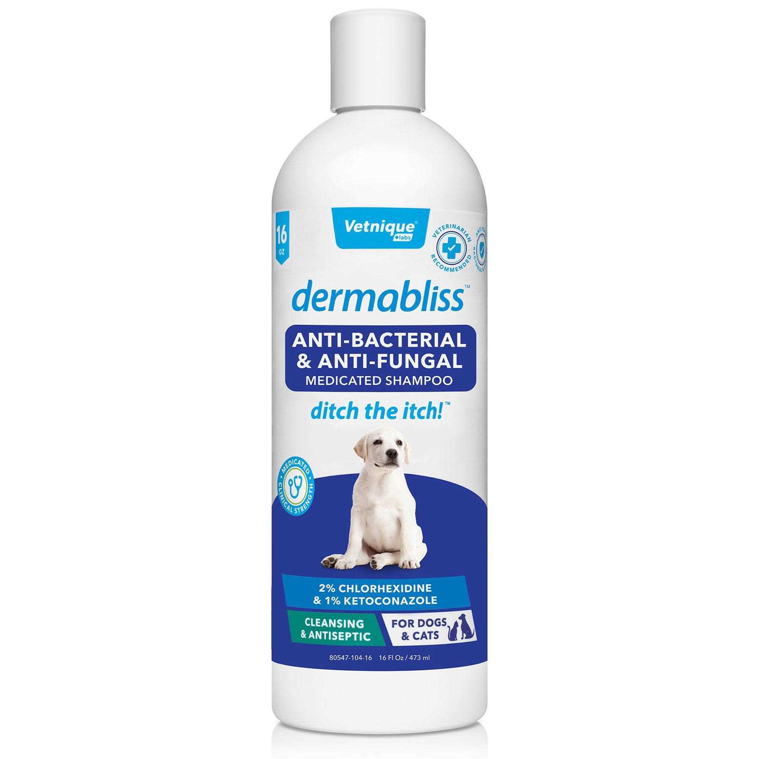 Dermabliss Anti-Bacterial & Anti-Fungal Shampoo - Healthber