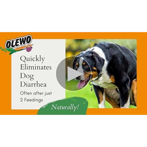 Olewo Original Carrots for Dogs Fiber for Dogs Keep Poop Firm - Healthber