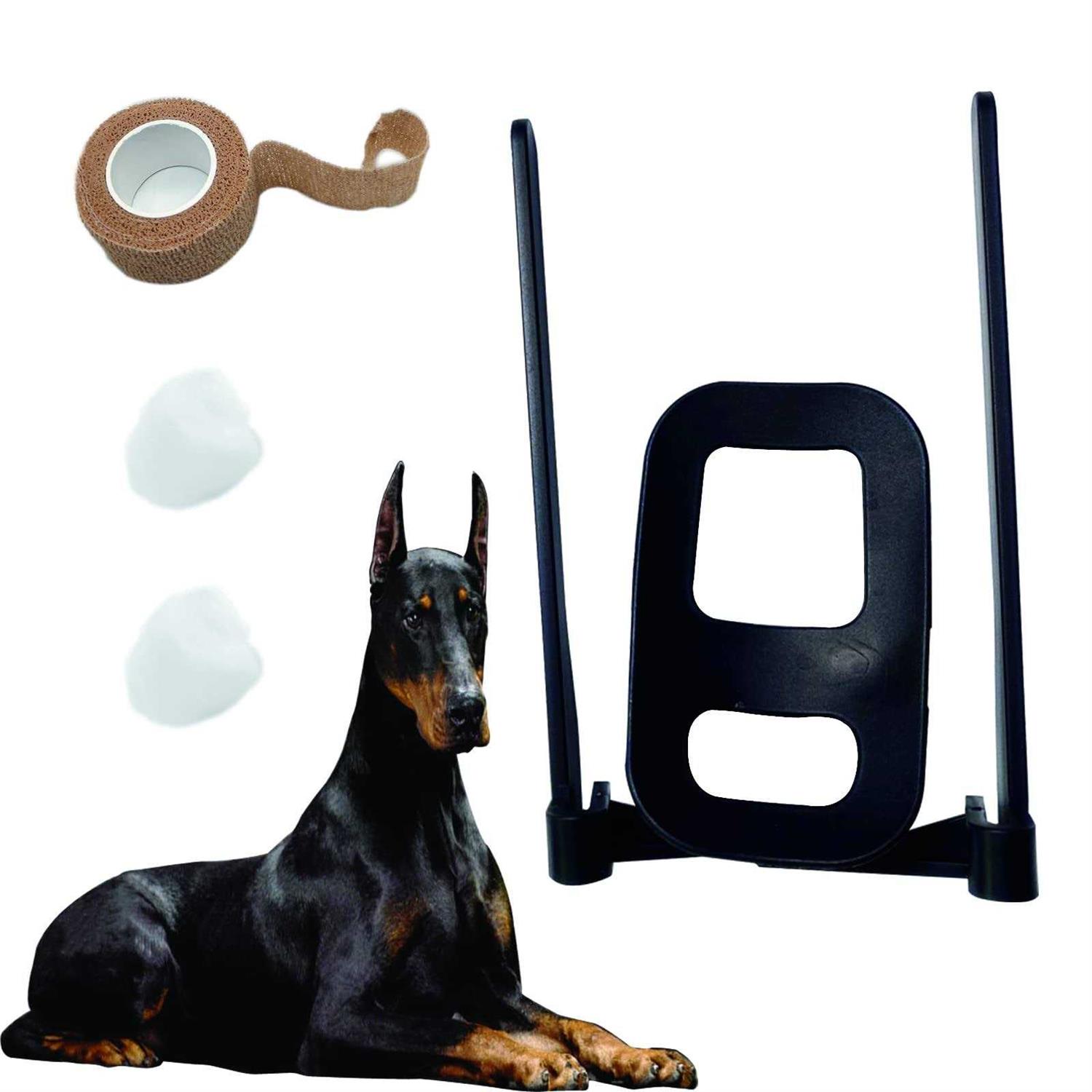 Dandelion Dog Ear Posting Kit Dog Ear Stand Up Support - Healthber