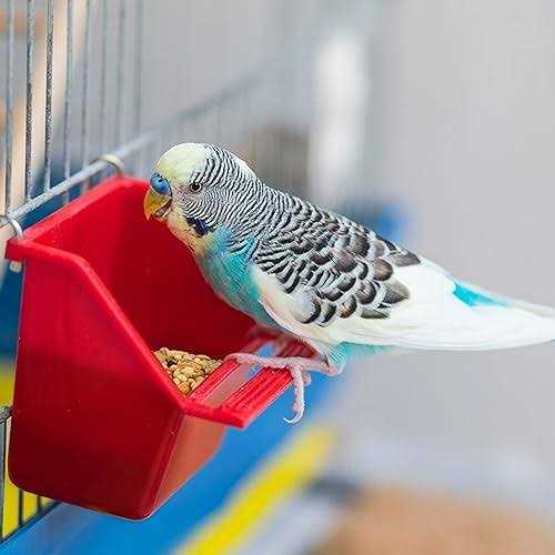 Wild Harvest Molting Supplement for Small Animals - Healthber