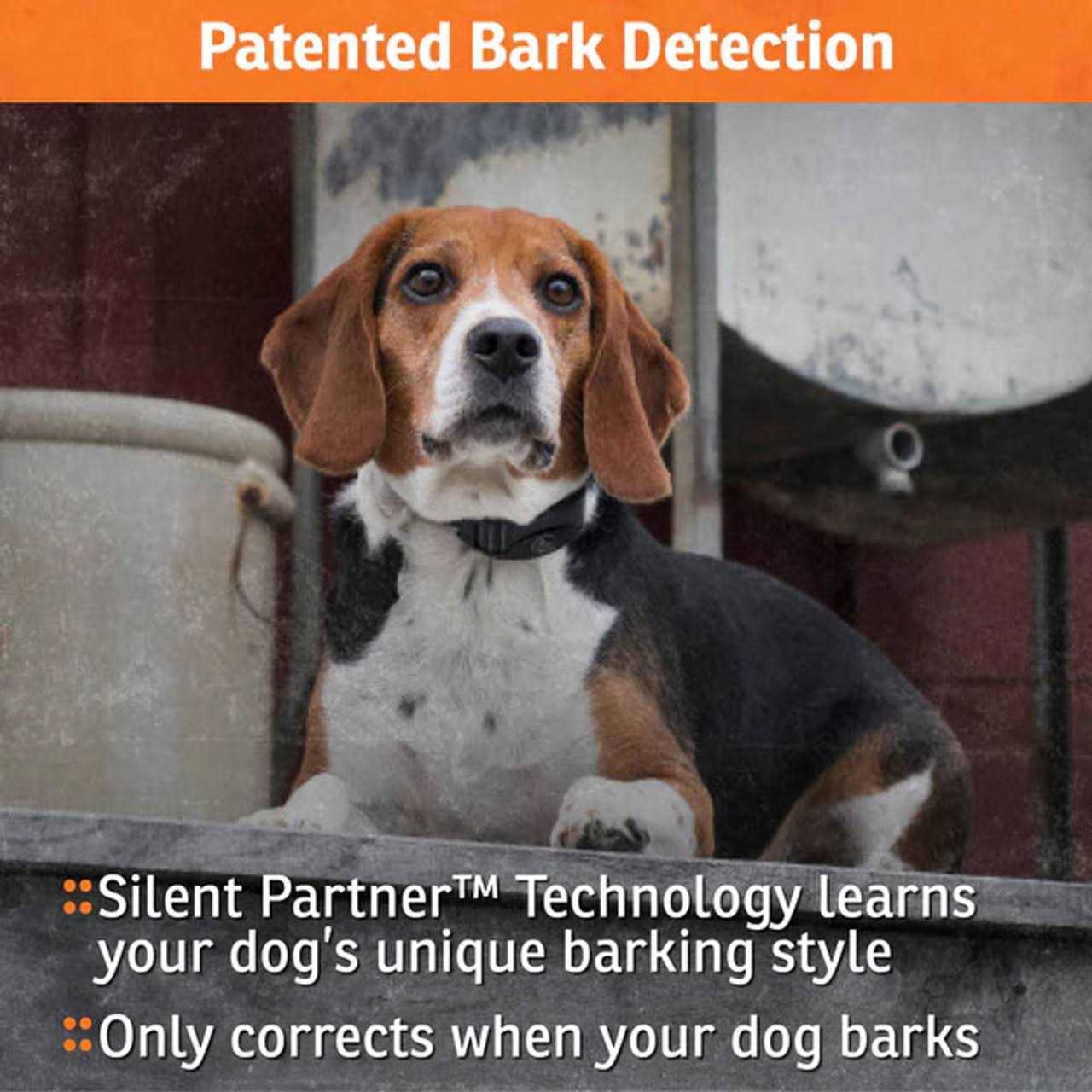SportDOG NoBark SBC-R Bark Collar - Healthber