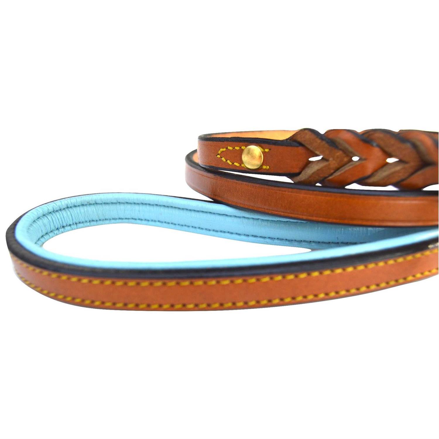 Soft Touch Collars Leather Braided Dog Leash - Healthber