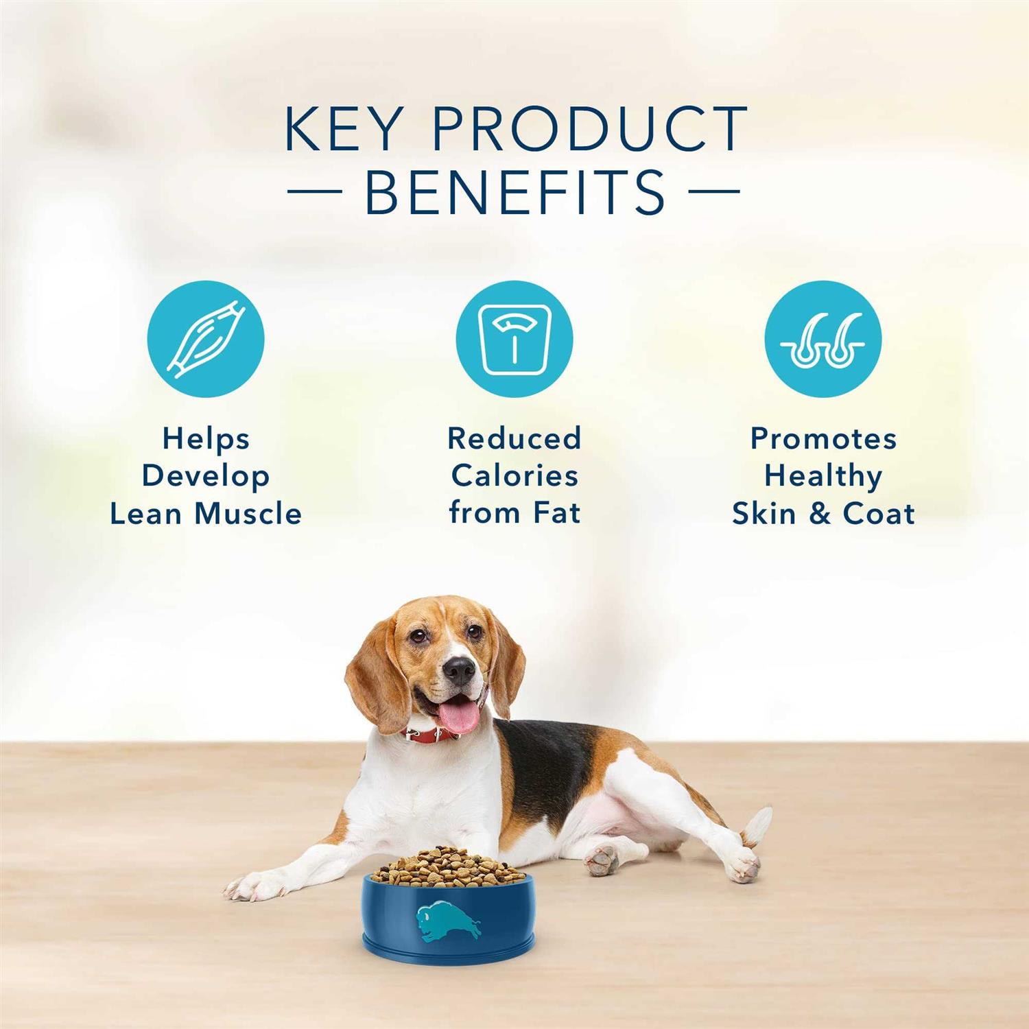 Blue Buffalo Basics Healthy Weight Turkey & Potato Dry Dog Food - Healthber