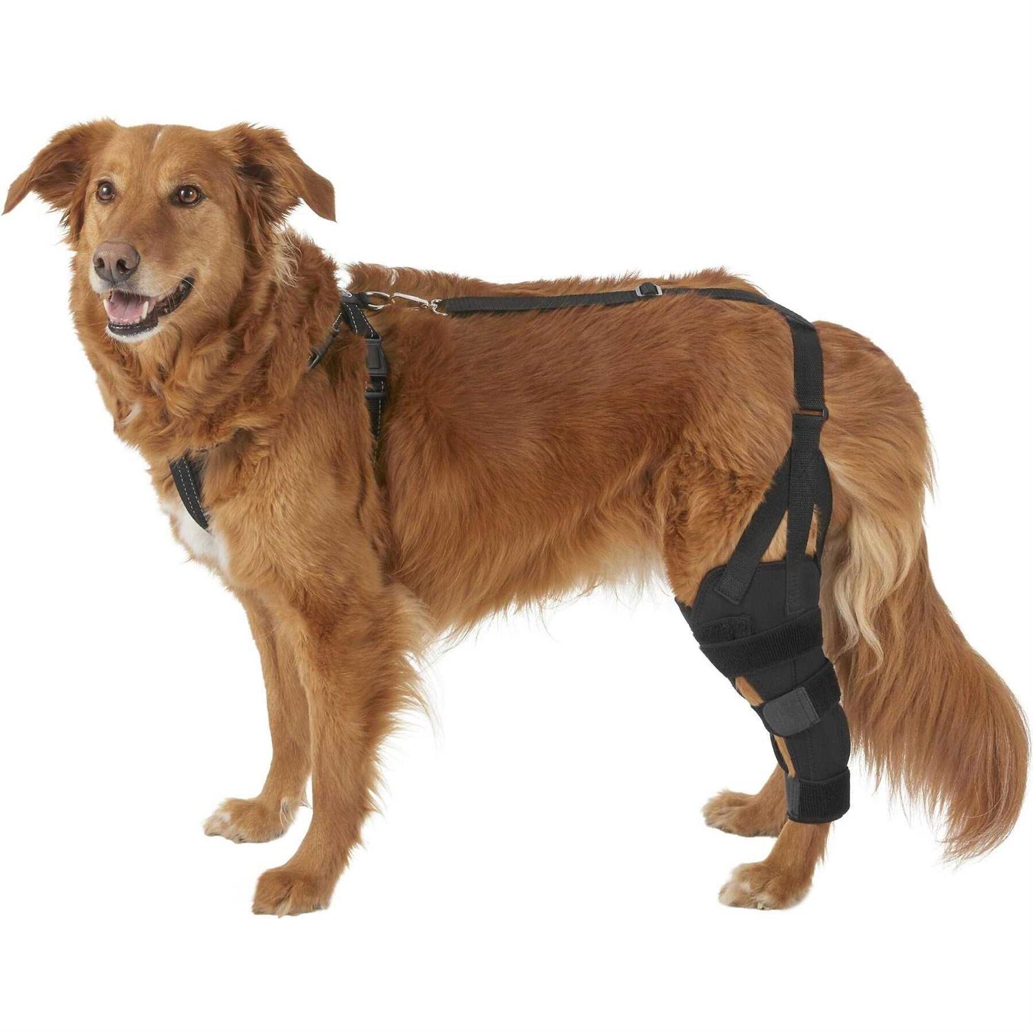 Labra Dog Canine K9 Knee Stifle Brace Wrap Metal Hinged Flexible Support Treat ACL CCL Luxating Patella Cruciate Ligament Sprain Strain Tear Injuries - Healthber