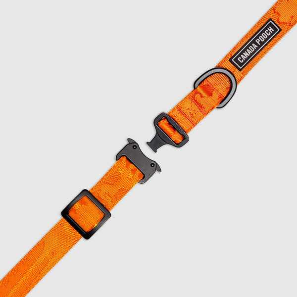 Canada Pooch Utility Dog Collar - Healthber