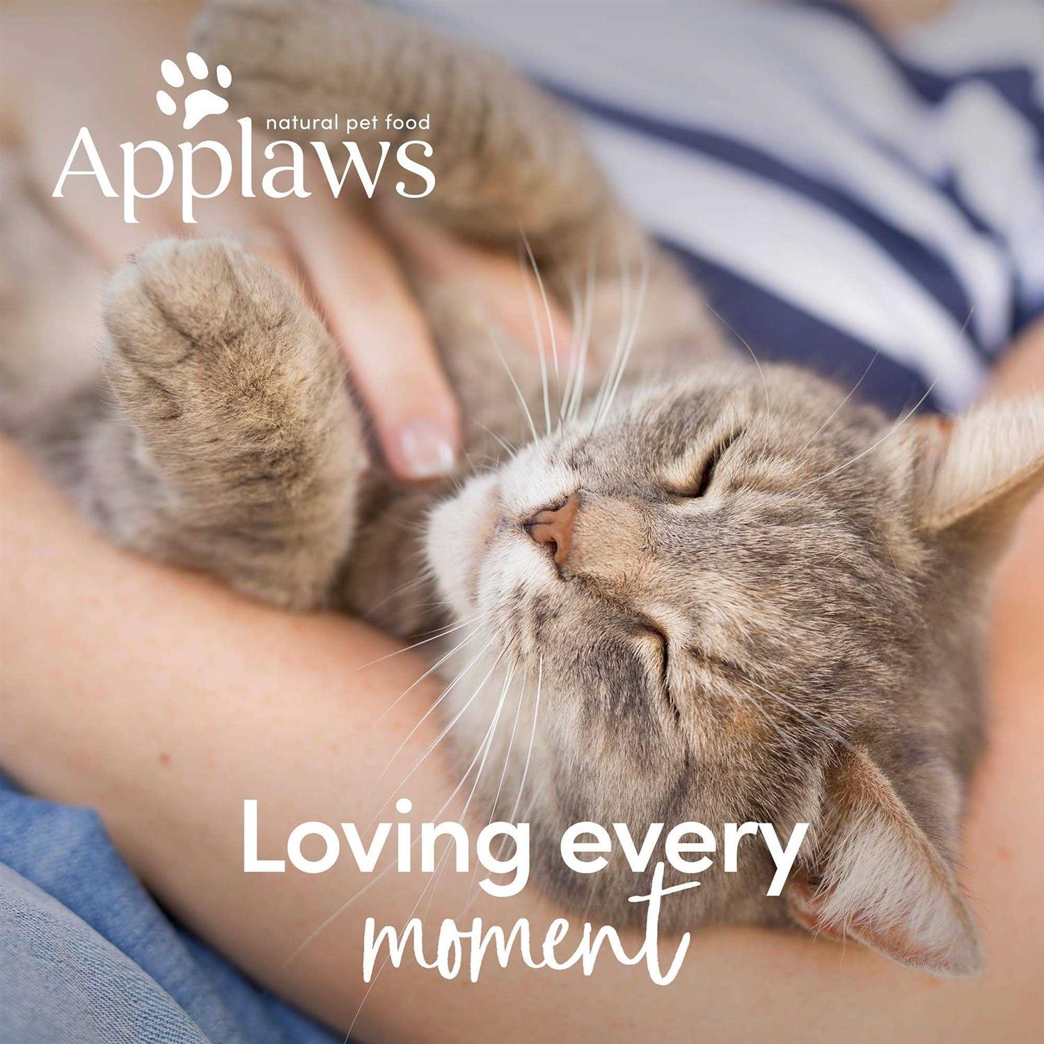 Applaws Limited Ingredients Grain Free Chicken with Turkey Recipe Complete Dry Adult Cat Food - Healthber
