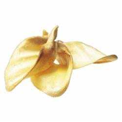 Redbarn Cow Ears - Healthber