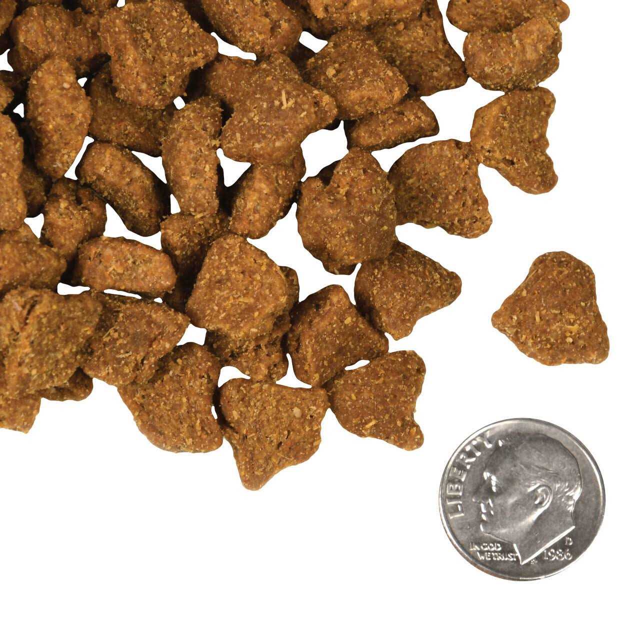 Fromm Four Star Dry Dog Food Zealambder Recipe - Healthber