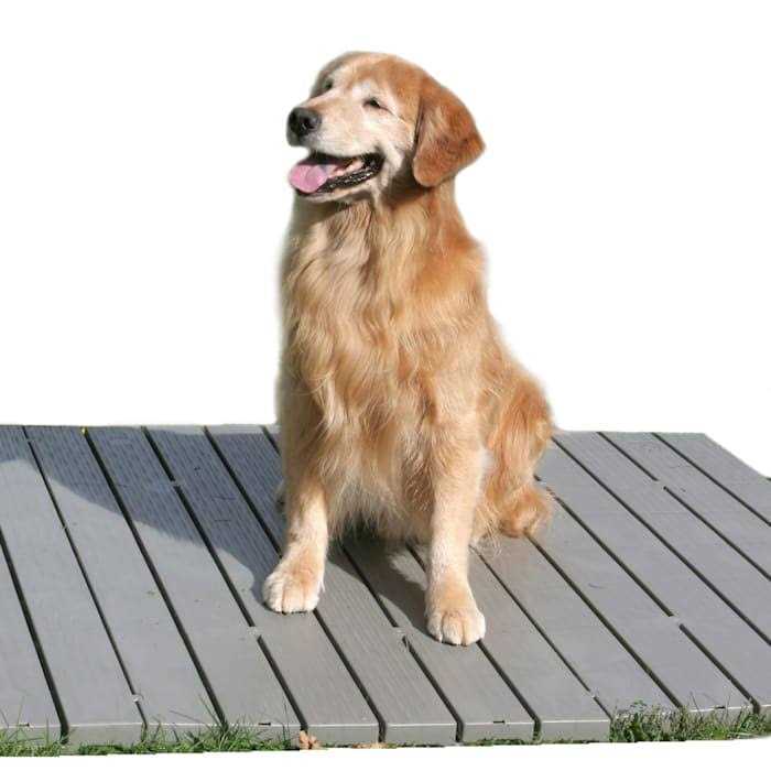 The Kennel Deck - Healthber