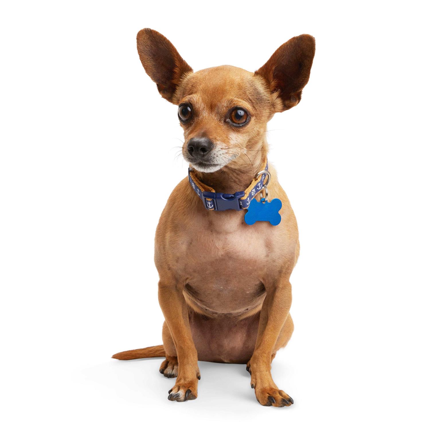 Youly Anchor Dog Collar - Healthber