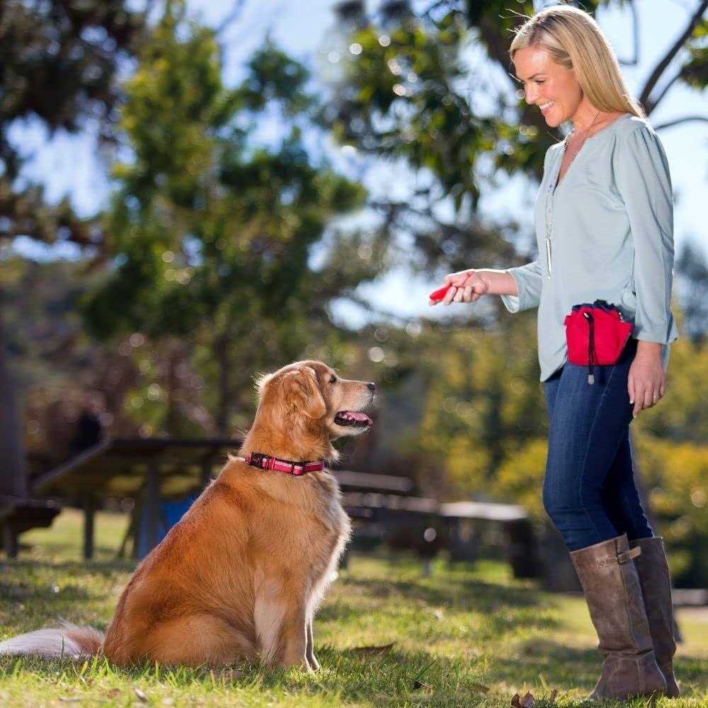 Company of Animals Treat Bag - Healthber