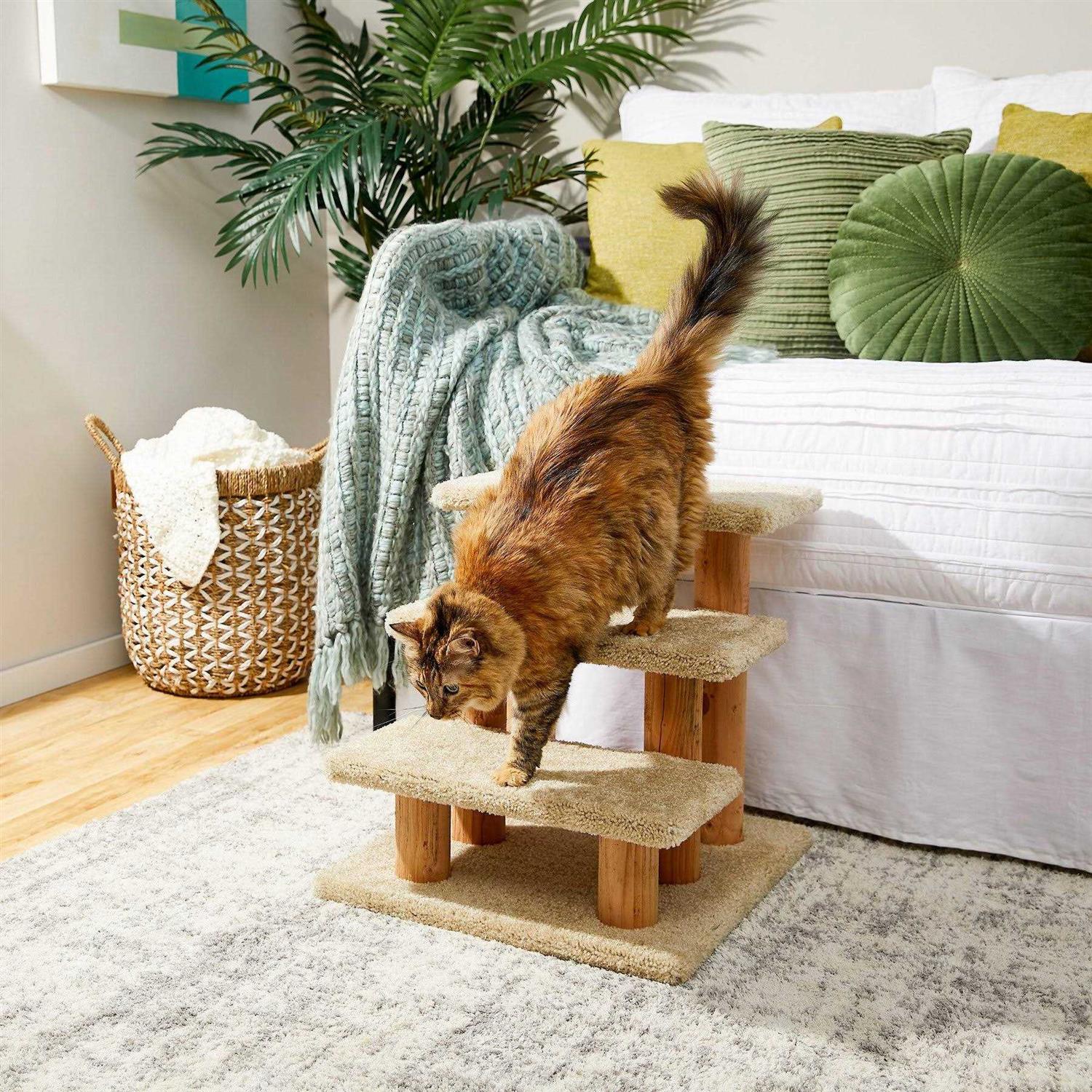 Frisco 20-in 3-Step Real Carpet Wooden Cat Steps - Healthber