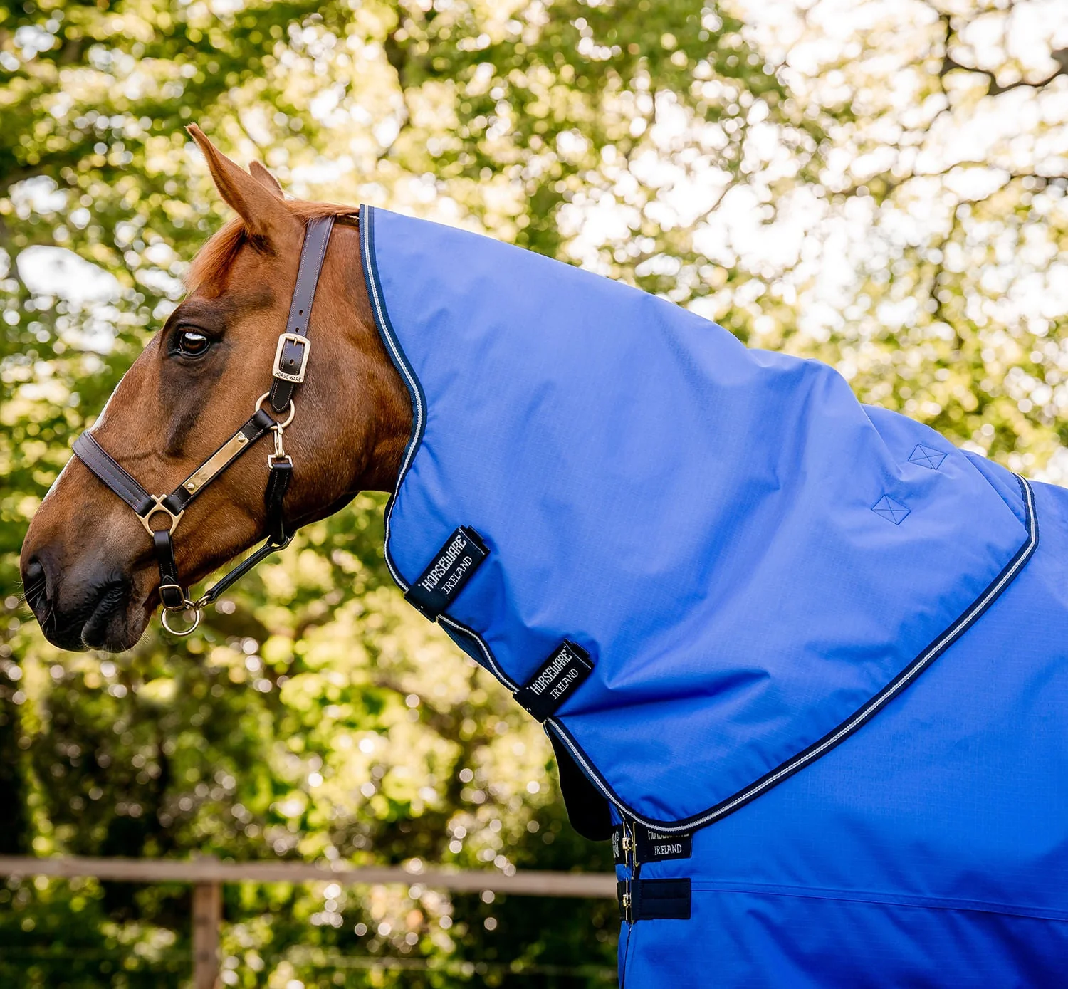 Amigo Hero Ripstop Plus Lightweight Horse Turnout Blanket - Healthber